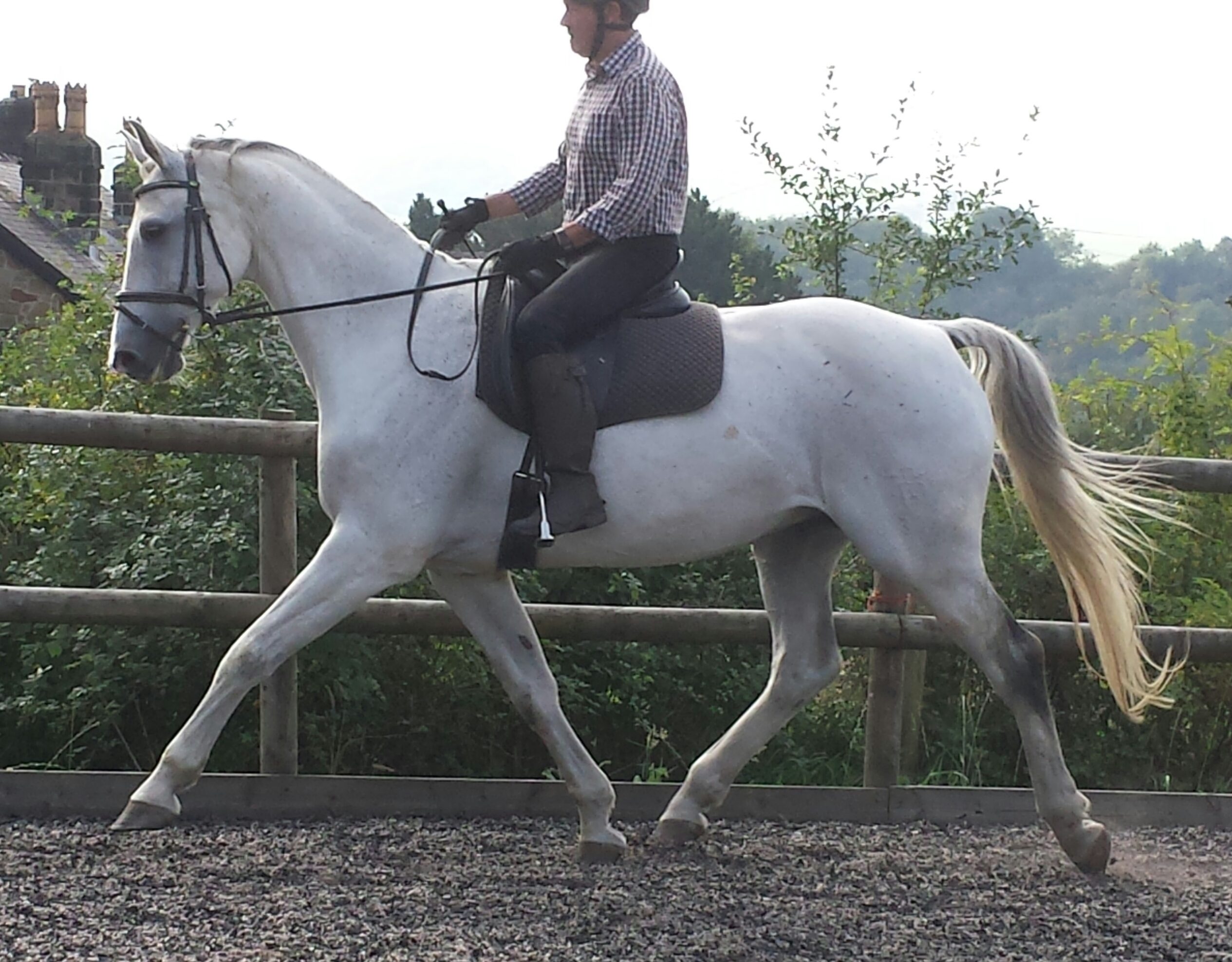 Equestrian Property for sale Derbyshire